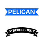 Pelican Cybersecurity